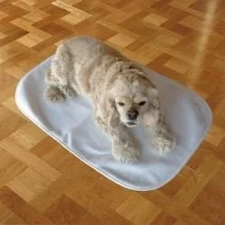 Achy Paws Pet Mat Large 40×30″” 1 Pack