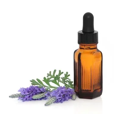 Blackberry Vine – Rubus fruiticosus Gemmo (50 ml) USA Only
