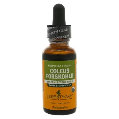 Coleus Forskohlii 1 Ounce