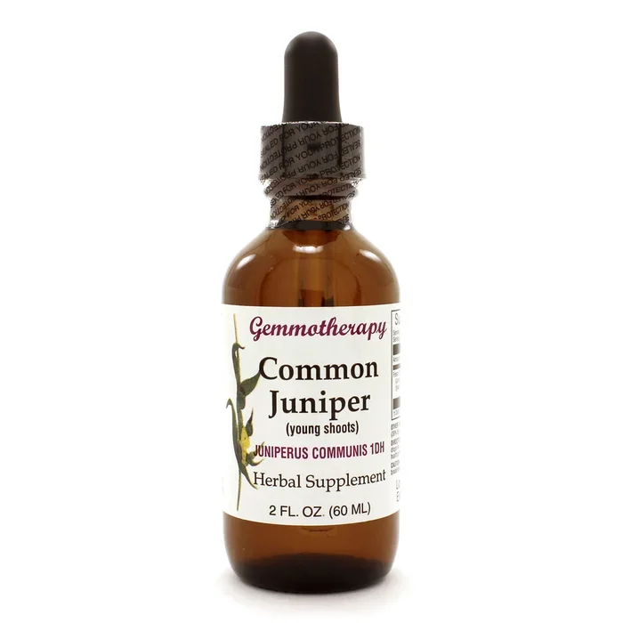 Common Juniper/Juniperus Communis
