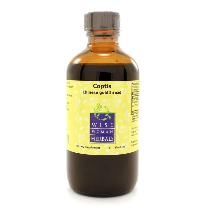 Coptis chinensis – Chinese goldthread