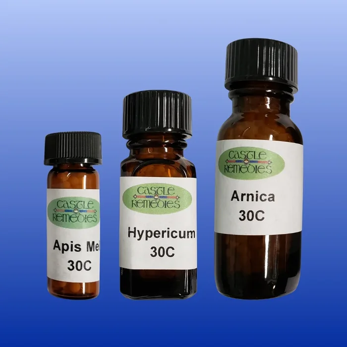 Crocus sativa