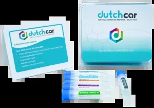 Dutch Car Test