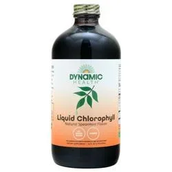 Dynamic Health Chlorophyll Liquid (100mg) Natural Spearmint 16 fl.oz