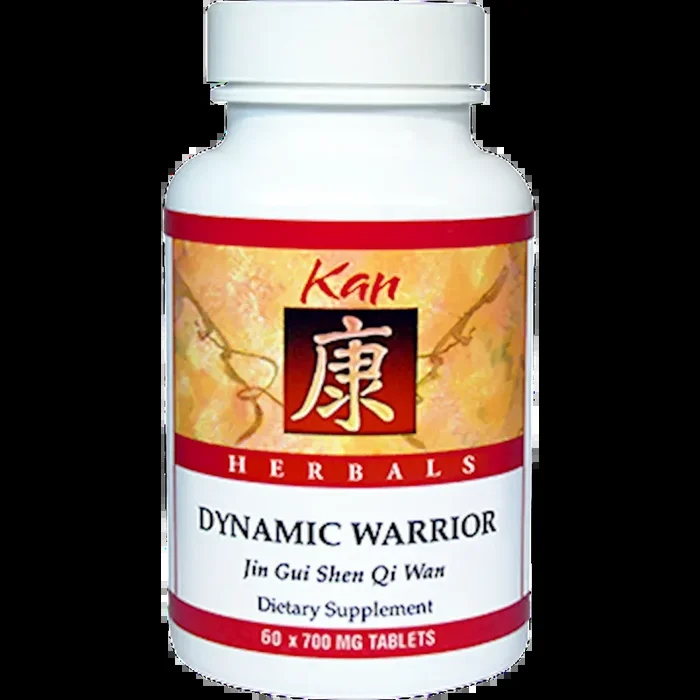 Dynamic Warrior