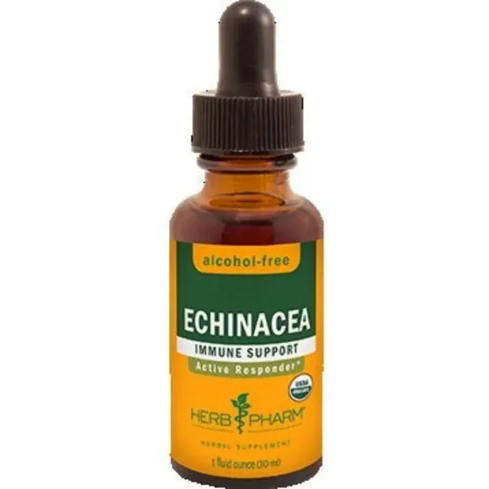 Echinacea Glycerite