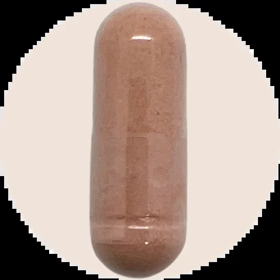 EGCG Green Tea Extract
