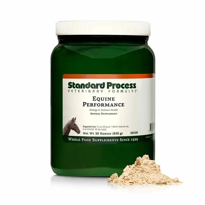 Equine Performance
