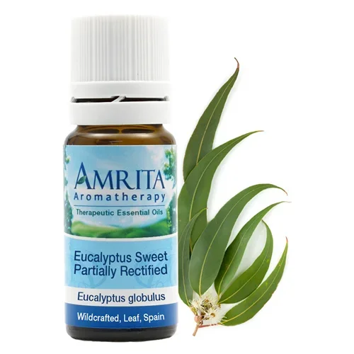 Eucalyptus Globulus (Sweet) Amrita Aromatherapy EUCA4