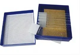 Fisher Anatomical – Control Slide Amyloid Tissue – 22026704