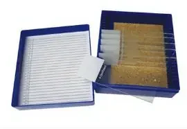 Fisher Anatomical – Control Slide Elastic Tissue – 22026708
