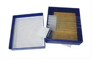 Fisher Anatomical – Control Slide Gram Organism Tissue – 22026714