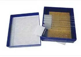 Fisher Anatomical – Control Slide Massons Tissue – 22026717