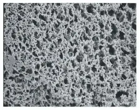 Fisher Scientific – Membrane Filter 47 mm OD, 5 µm Pore Size, 5 psi Bubble Point, 34 Liter/min./cm sq. Gas Flow Rate, 360 mL/min./cm sq. Liquid Flow Rate, Hydrophilic, Autoclavable, Plain White Membrane – R50SP04700