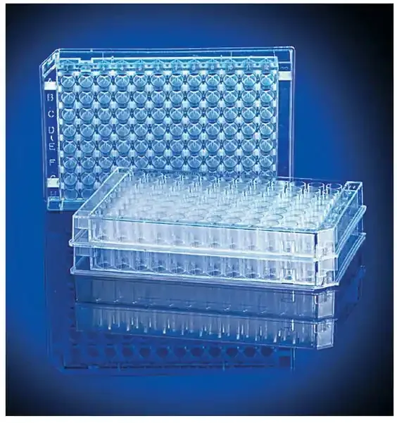 Fisherbrand – 96-Well Microplate 350 µL Clear NonSterile – 12565501