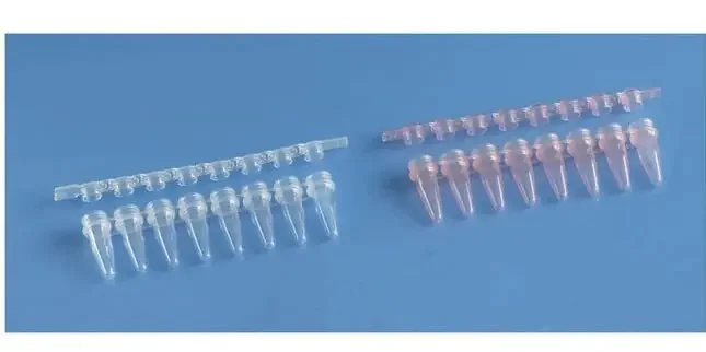 Fisherbrand – PCR Tube Strip Conical Bottom Plain 0.2 mL Without Color Coding Without Closure Polypropylene Tube – 14230220