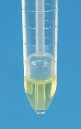 Fisherbrand – Urinalysis Tube Conical Bottom Plain 15 mL Without Color Coding Snap Cap Polystyrene Tube – 14375249