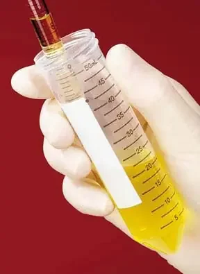 Fisherbrand Easy Reader – Centrifuge Tube Conical Bottom Plain 17 X 119 mm 15 mL Without Color Coding Plug Seal Cap Polypropylene Tube – 055395