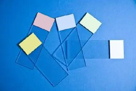 Fisherbrand Selectfrost – Microscope Slide 25 X 75 X 1 mm Blue End – 1255001