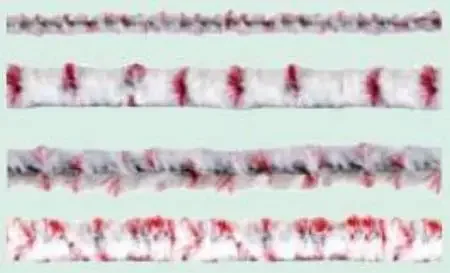 Flexistem – Cleaning Brush – FLEX023