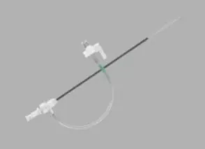 Flexor – Introducer 8 Fr. X 45 cm Length X 2.9 mm ID For up to .038 Inch Diameter Guidewire – G09601
