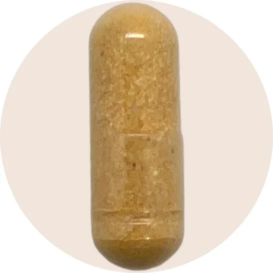For Him – Prenatal Multivitamin