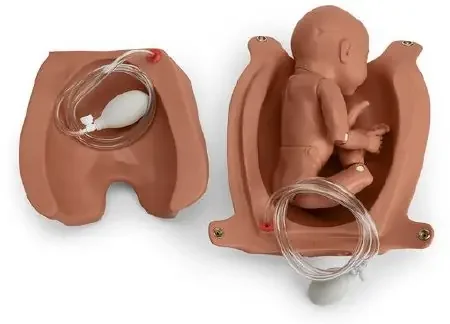 Gaumard – Articulating Newborn foro Leopold‘s Maneuvers – SB32873 L