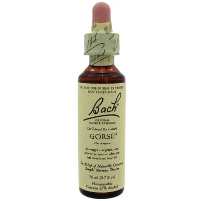 Gorse 20 Milliliters
