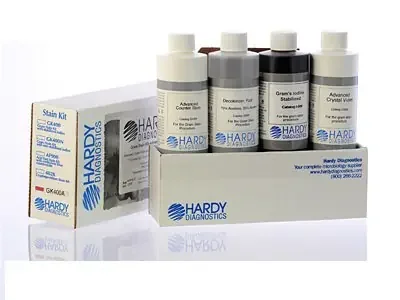 Gram Stain Advanced – Gram Stain Set 4 X 8 oz. – GK400A