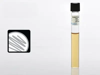 Hardy Diagnostics – Prepared Media Thioglycollate Medium Beige Tube Format – K29
