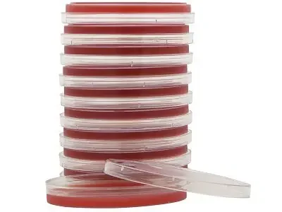 Hardy Diagnostics – Prepared Media Tryptic Soy Agar (TSA) with 5% Sheep Blood Red Petri Plate Format – A10