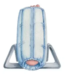 Heel-Float – Foot Stabilizer Large Without Closure Foot – 503038