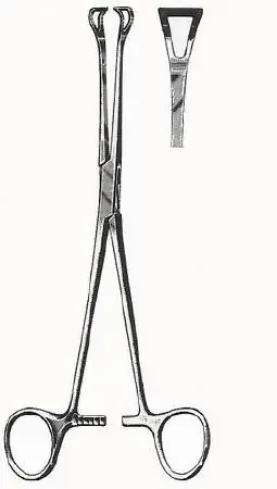 HerMann Medizintechnik – Grasping Forceps Babcock 6 Inch Length Surgical Grade Stainless Steel / Tungsten Carbide Ratchet Lock Finger Ring Handle Curved Serrated Fenestrated Triangular Tips – H164-16016
