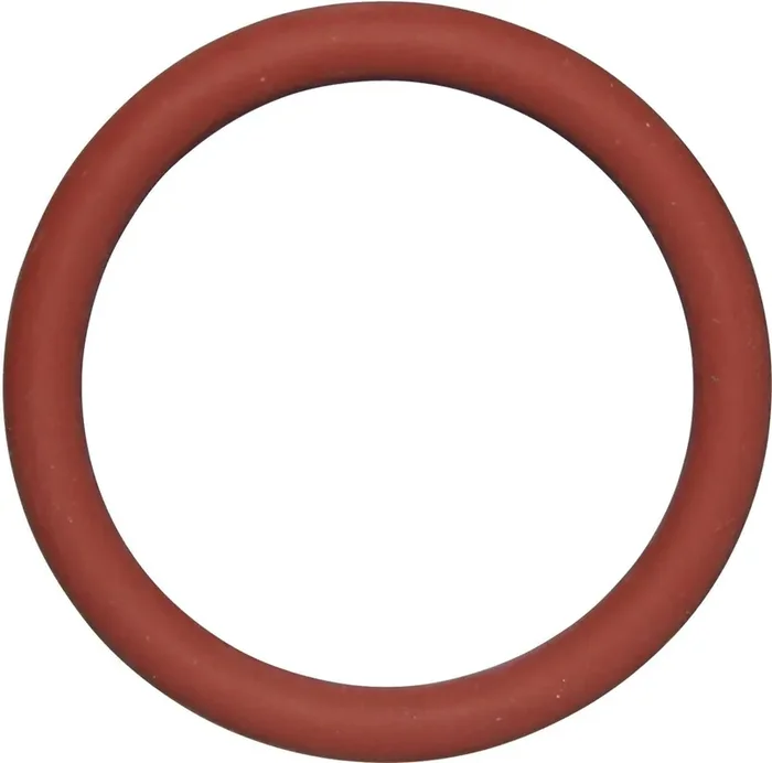Integra Lifesciences – Ear Syringe O-Ring Small – 19397