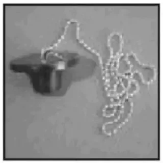 Invacare – Drain Plug with Chain For ICC Therapure Tubs – PAR9817A