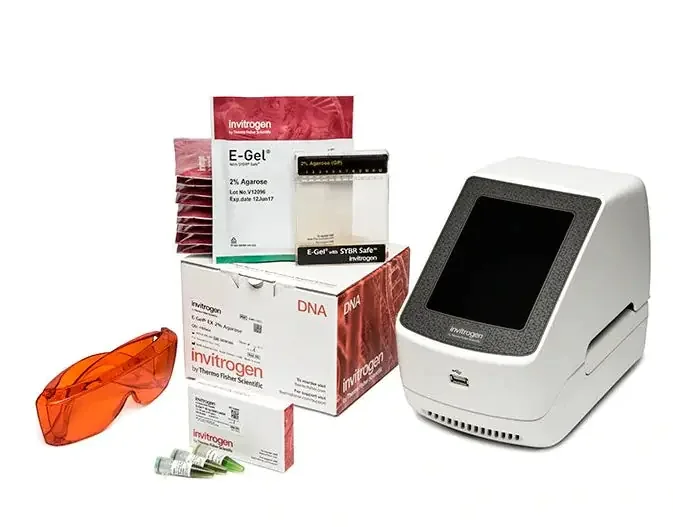 Invitrogen E-Gel – Electrophoresis System – G8352ST