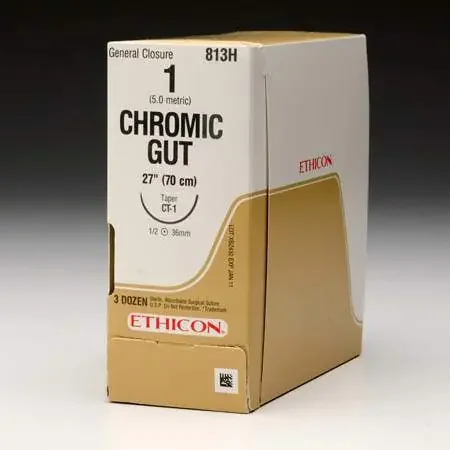 J & J Healthcare Systems – Suture without Needle Chromic Gut Absorbable Size 0 54 Inch Suture – S114H