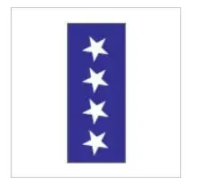 Key Surgical – Pre-Printed Label Multipurpose Label Blue Paper Star Symbol White Diagram / Symbol 8-1/2 X 11 Inch – T-703-06