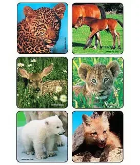 Kids Love Stickers – 90 per Unit Baby Animal Photos , Assorted Sticker – 2001