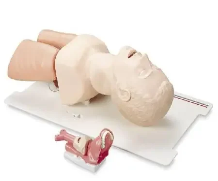 Laerdal – Airway Management Trainer – 25000033