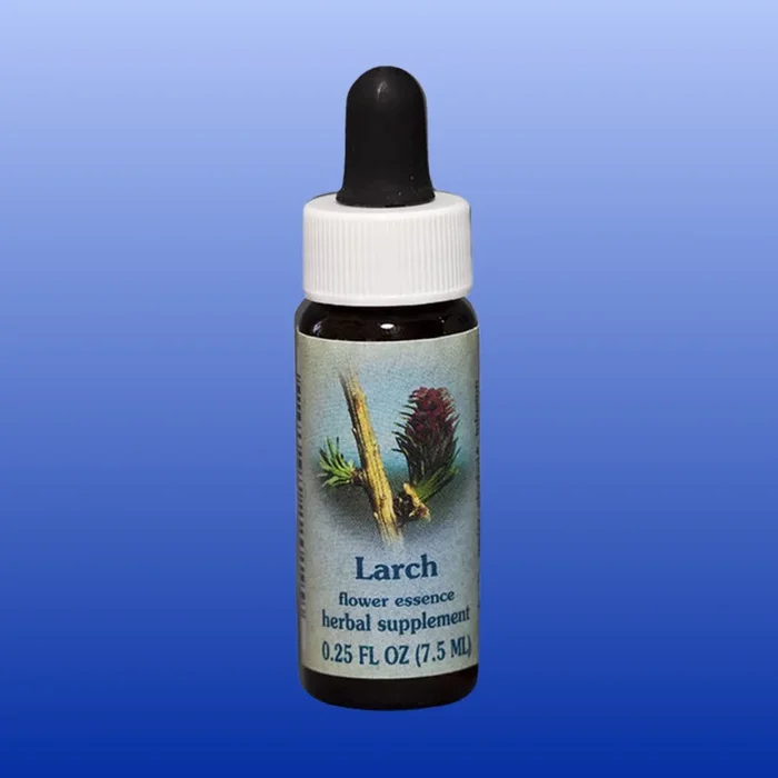 Larch Flower Essence 0.25 Oz