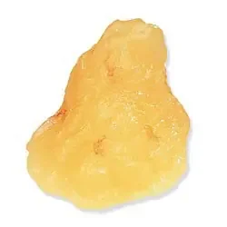 Life/Form – 1-lb. Body Fat Replica Model Life/form Vinyl Plastic – WA7173