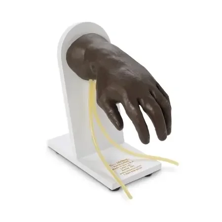 Life/Form – Advanced IV Hand Life/form 6.5 lbs. – LF01146