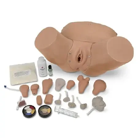 Life/Form – Advanced Pelvic and Gyn Simulator Life/form – LF01235
