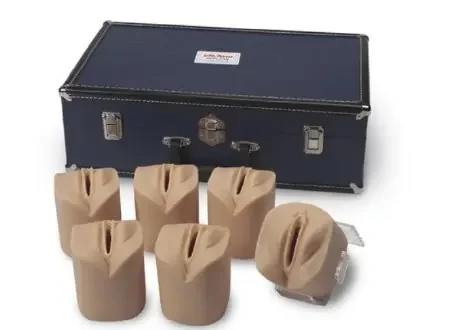 Life/Form – Cervical Dilatation and Effacement Simulators Life/form – LF01068