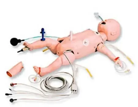 Life/Form – Manikin Carry Case Life/form Infant Full Body Carry Case – LF03464