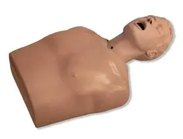 Life/Form – Nasogastric Tube and Trach Skills Simulator Life/form – LF01174