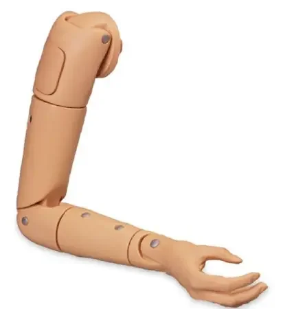 Life/Form – Replacement Arm / Right Life/form – LF04091 N