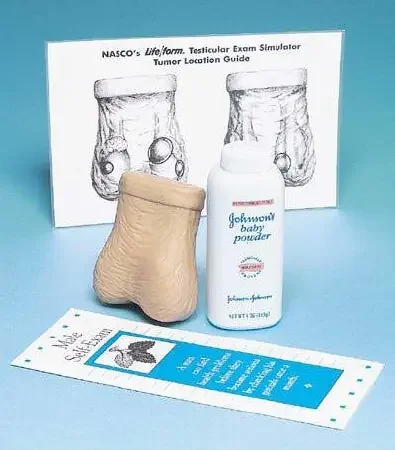 Life/Form – Testicular Exam Simulator Life/form Male – LF01143