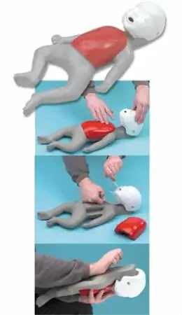 Life/form Baby Buddy Single – CPR Manikin Full Body Gender Neutral Infant – LF03720